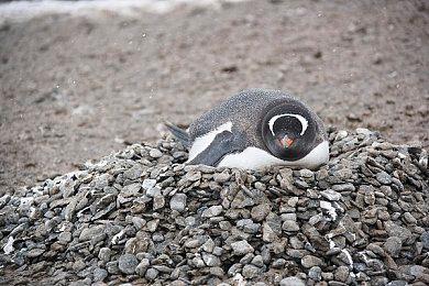 任天堂Switch 2价格曝光：或将大涨700块